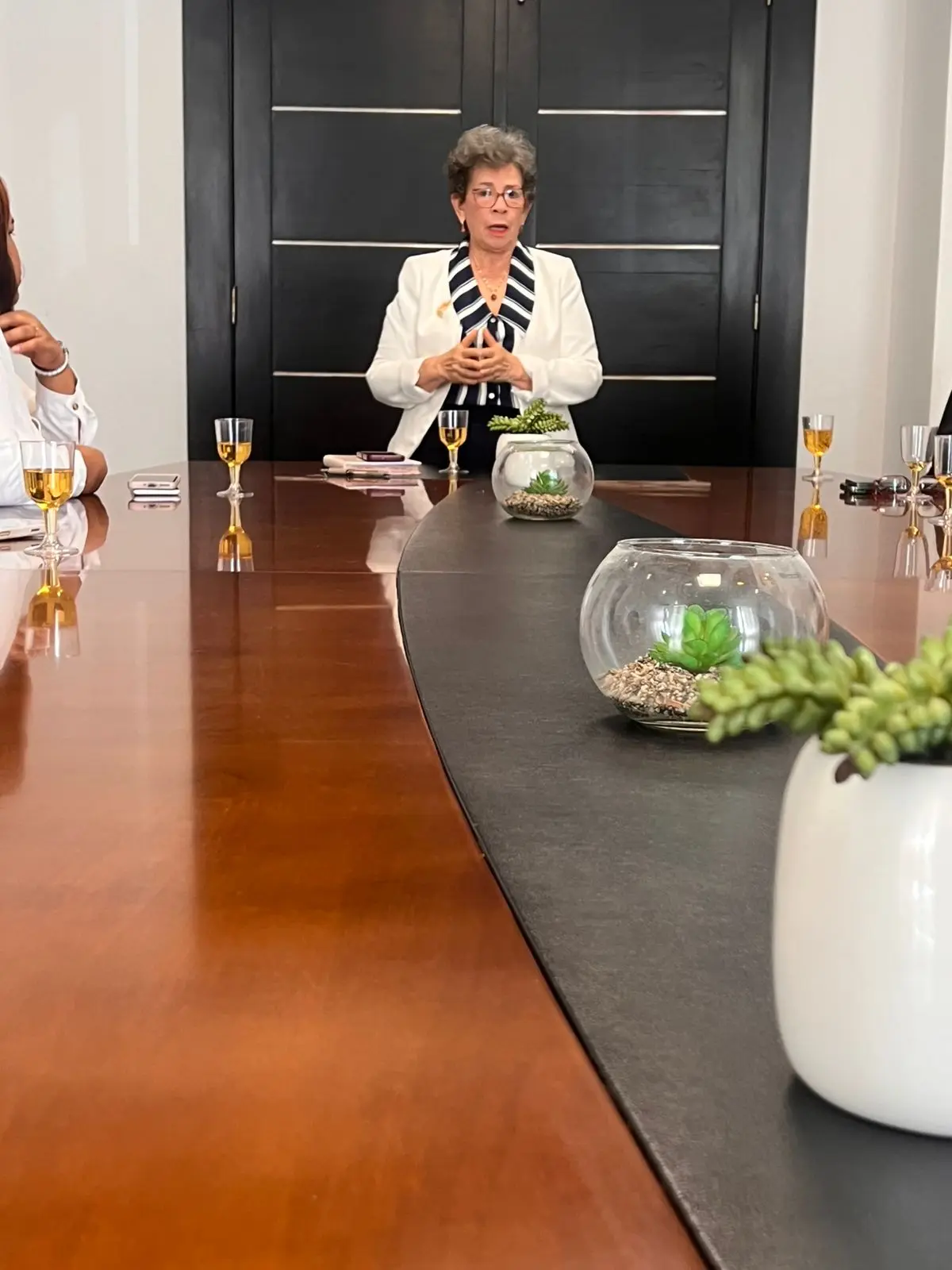 María Luisa Cruz dirigiendo una sesión de consultoría en sala de reuniones